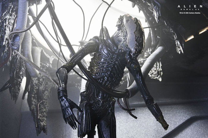 Alien: Romulus Figura Deluxe Suspended Lab Xenomorph XX121 18 cm Alien: Romulus Figura Deluxe Suspended Lab Xenomorph XX121 18 cm