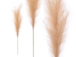 Giftdecor Rama Decorativa Artificial 110 cm Beige, Material Poliéster y Metal, Dimensiones 8x110x8 cm (Set de 24)