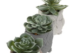 DKD Home Decor Figura Decorativa Buho Cactus Cemento y PVC Gris Beige Marron Verde 7 x 9 x 7 cm (6 Unidades)