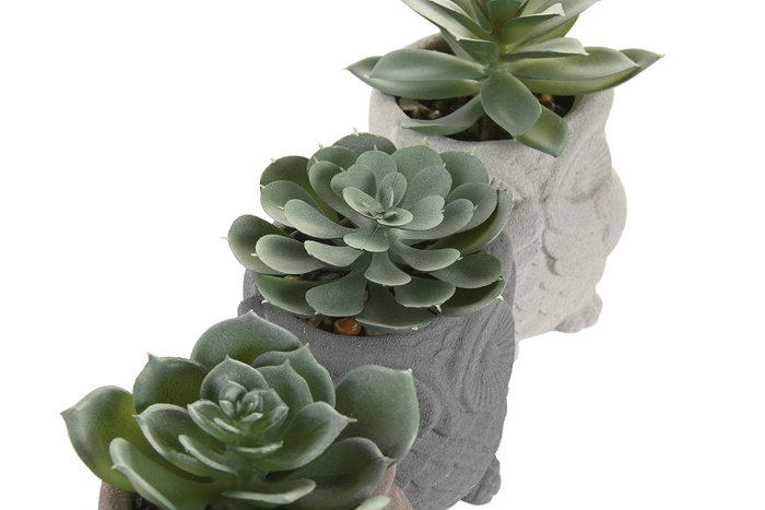 DKD Home Decor Figura Búho Cactus Surtido de 6 Piezas