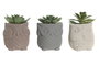 DKD Home Decor Figura Búho Cactus Surtido de 6 Piezas