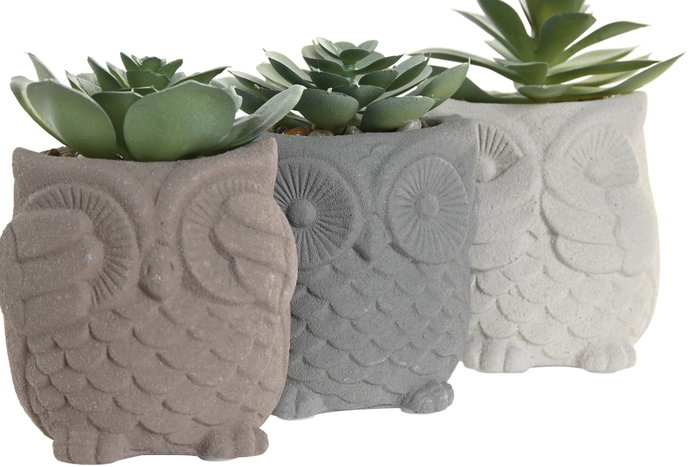 DKD Home Decor Figura Búho Cactus Surtido de 6 Piezas