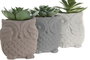 DKD Home Decor Figura Búho Cactus Surtido de 6 Piezas
