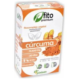 PINISAN Fito Premium Curcuma 30 Cápsulas | Ayuda Digestiva y Antiinflamatoria