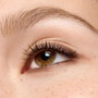 Essence SATIN BLEND Eyeliner en Gel 02-Cocoa