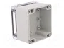FIBOX EURONORD Carcasa Universal Gris