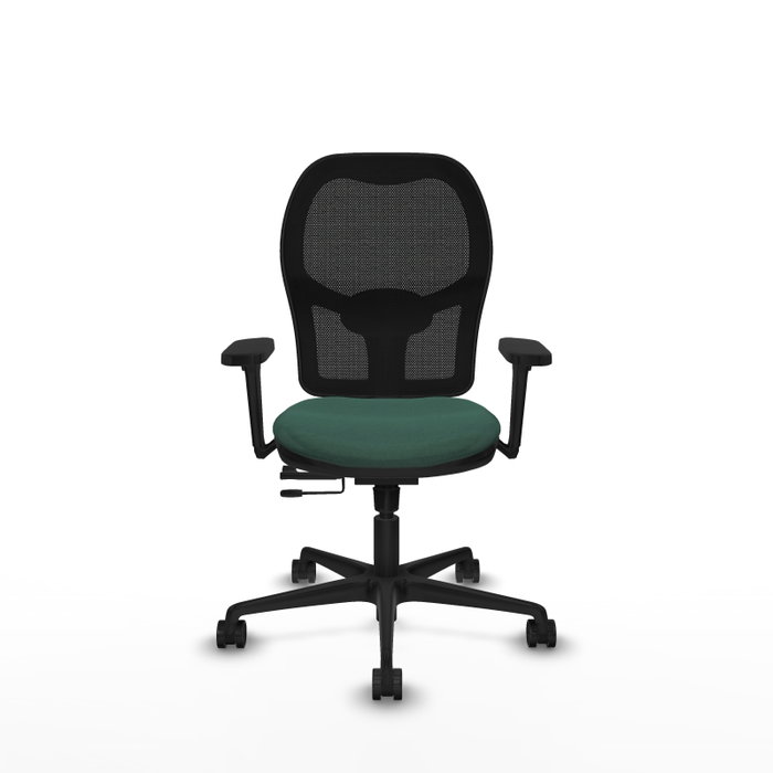 PIQUERAS Y CRESPO Silla de oficina Jorquera con mecanismo Sincro/Traslack Verde botella PIQUERAS Y CRESPO Silla de oficina Jorquera con mecanismo Sincro/Traslack Verde botella