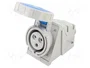 SEZ DK IZG 3232 Tomacorriente Hembra 32A 230V AC Azul