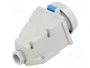 SEZ DK IZG 3232 Tomacorriente Hembra 32A 230V AC Azul