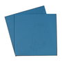 Thermal Grizzly Minus Pad Basic - 100x100x0,5 mm (Pack de 2)