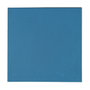 Thermal Grizzly Minus Pad Basic - 100x100x0,5 mm (Pack de 2)
