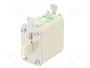 ETI POLAM Fusible NH00 de Cerámica Industrial 125A 690VAC