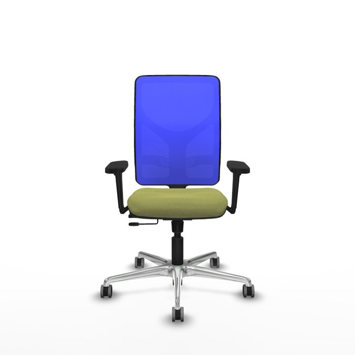 PIQUERAS Y CRESPO Silla de oficina Motilla con mecanismo Sincro/Traslack, Verde oliva y Azul PIQUERAS Y CRESPO Silla de oficina Motilla con mecanismo Sincro/Traslack, Verde oliva y Azul