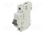 ETI POLAM Interruptor magnetotérmico ETIMAT P10 10A 1P C10