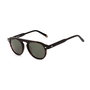 Belstaff LARSSON-TORTOISE Gafas de sol Marrón/Verde