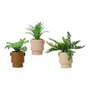 Maceta de planta verde 25 cm Cemento Colores Surtidos Modelos Variados