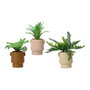 Maceta de planta verde de 25 cm con tiesto de cemento en colores surtidos