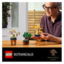 LEGO Botanicals Mini-Bonsáis
