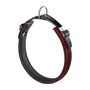 Ferplast Collar ErgoComfort C15 42 Rojo