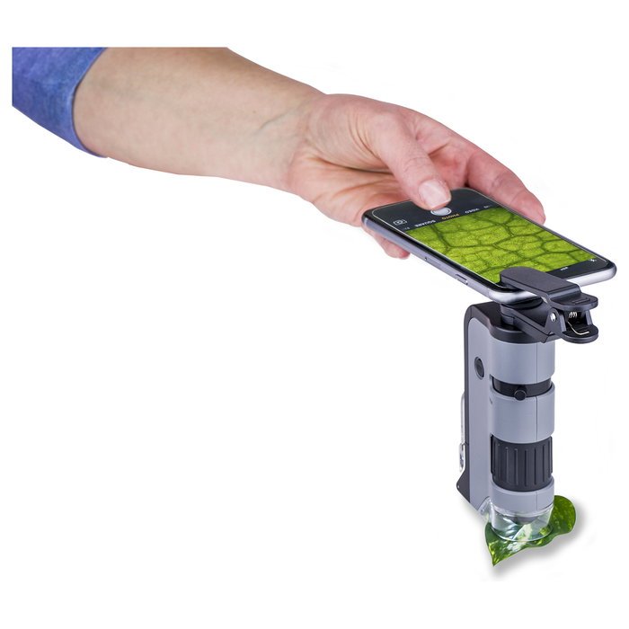 Carson MicroFlip Microscopio de Bolsillo LED 100x - 250x Negro / Gris Carson MicroFlip Microscopio de Bolsillo LED 100x - 250x Negro / Gris