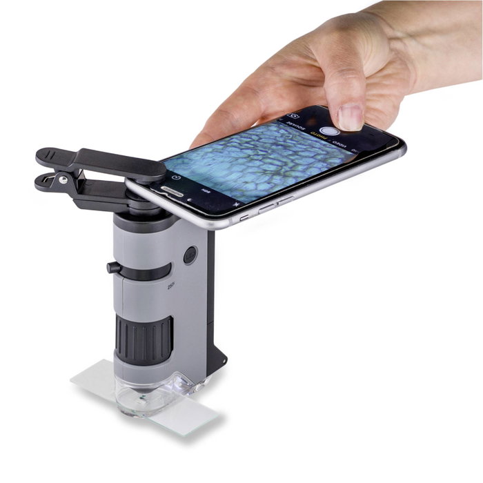 Carson MicroFlip 100x - 250x LED Pocket Microscope Carson MicroFlip 100x - 250x LED Pocket Microscope
