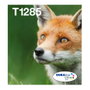 Epson Multipack de Cartuchos de Tinta T128 DURABrite Ultra 4 Colores (C13T12854511) inevitable
