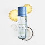 Calvin Klein CK Silky Coconut Bruma Corporal y Capilar 236 ml