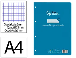 Liderpapel Recambio A4 Pautaguia 100 Hojas 75gr Cuadriculado Con Margen 4 Taladros