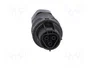 WIELAND Conector Industrial RST Hembra de 3 Pines, Negro