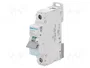 HAGER Interruptor magnetotérmico NCN 32A 1 Polo 10kA
