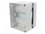 ELEKTRO-PLAST NASIELSK Carcasa para aparatos modulares HERMETICA IP65