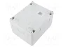 ELEKTRO-PLAST NASIELSK Carcasa para aparatos modulares HERMETICA IP65