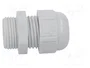 LAPP SKINTOP® Sello aislante PG11 gris claro