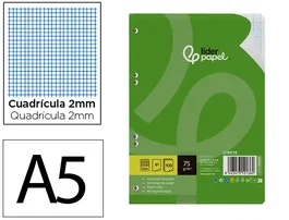 Liderpapel Recambio A5 100 Hojas Milimetradas 75 g 6 Taladros