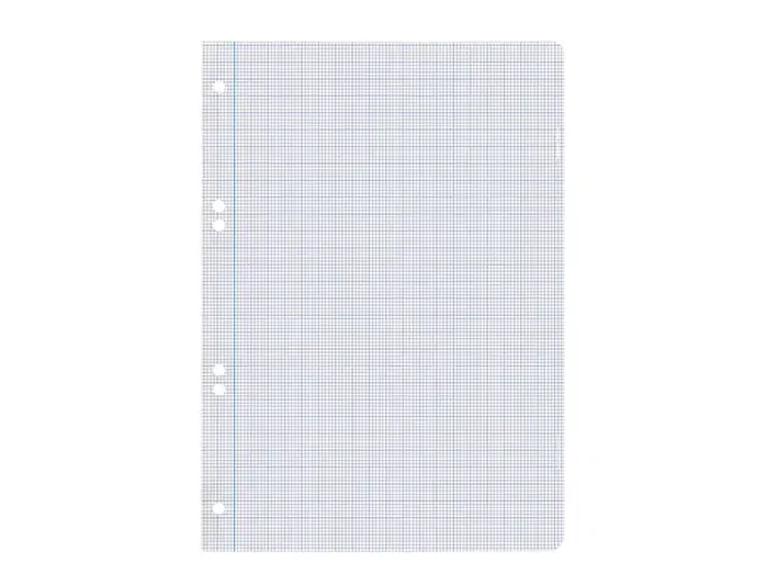 Liderpapel Recambio A5 100 Hojas Milimetradas 75 g 6 Taladros