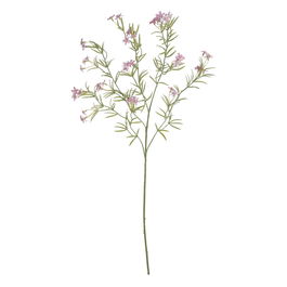 Rama Margarita Rosa 91 cm (Set de 24)