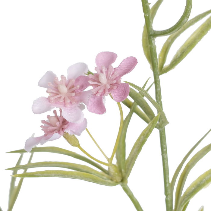 Rama Margarita Rosa 91 cm (Set de 24)