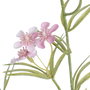 Rama Margarita Rosa 91 cm (Set de 24)