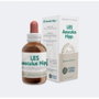 FORZA VITALE Les Aesculus Hippocastanum 50 ml