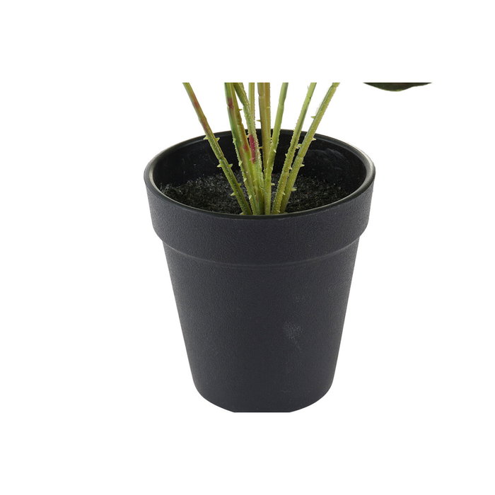 Planta Decorativa DKD Home Decor Rosa Verde PE (10 x 10 x 27 cm) Planta Decorativa DKD Home Decor Rosa Verde PE (10 x 10 x 27 cm)