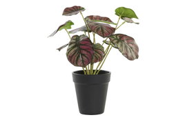 DKD Home Decor Planta PE Verde 10x10x27 cm, Pack de 10