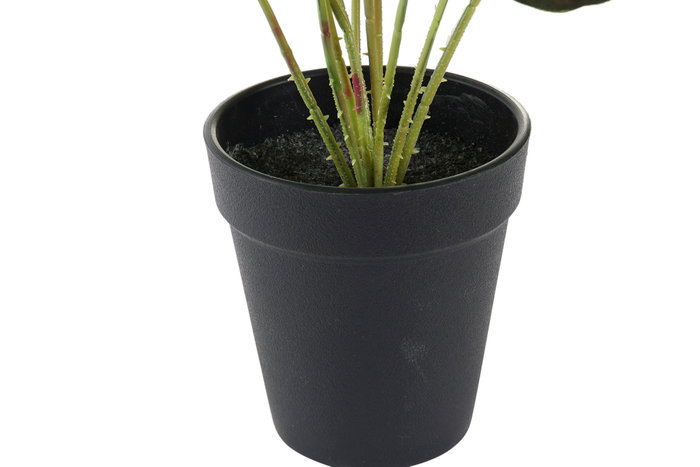 DKD Home Decor Planta PE Verde 10x10x27 cm, Pack de 10 DKD Home Decor Planta PE Verde 10x10x27 cm, Pack de 10