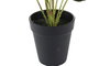 DKD Home Decor Planta PE Verde 10x10x27 cm, Pack de 10