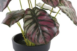 DKD Home Decor Planta Verde Rosa 10 x 27 x 10 cm (10 Unidades)