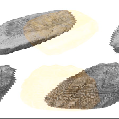 SUMMA PREMIUM MISCELANEA Bol Tortuga Marrón 26x18 cm, Vajilla, Porcelana, Apto Lavavajillas, Colección MISCELANEA