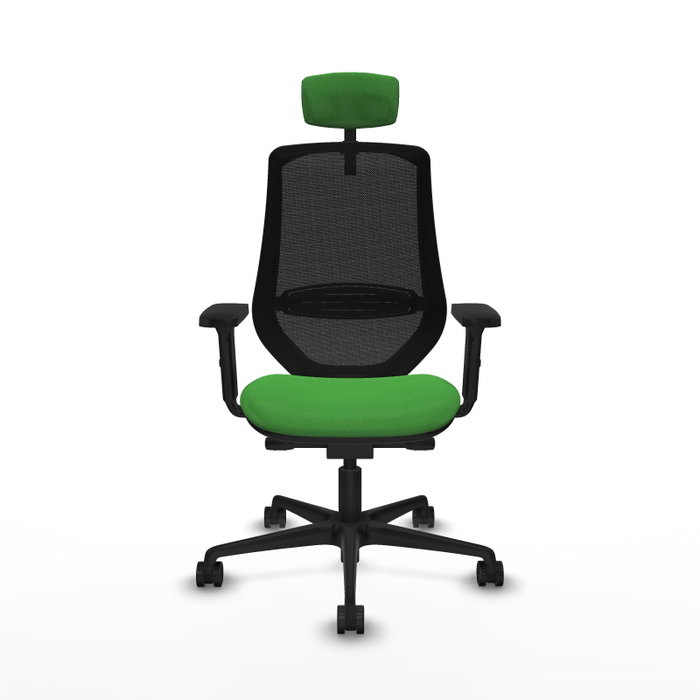 PIQUERAS Y CRESPO Silla de oficina Mardos con mecanismo Sincro/Traslack, Verde y Negro PIQUERAS Y CRESPO Silla de oficina Mardos con mecanismo Sincro/Traslack, Verde y Negro
