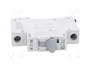 EATON ELECTRIC Interruptor magnetotérmico HN-B40/1 1 polo 40A 6kA