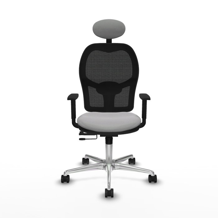 PIQUERAS Y CRESPO Silla de oficina Jorquera Gris claro y Negro PIQUERAS Y CRESPO Silla de oficina Jorquera Gris claro y Negro