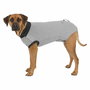 Body protector para perros Trixie Gris L
