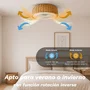 Grunkel SKYWIND-20M Ventilador de techo 50cm con luz LED regulable y mando a distancia